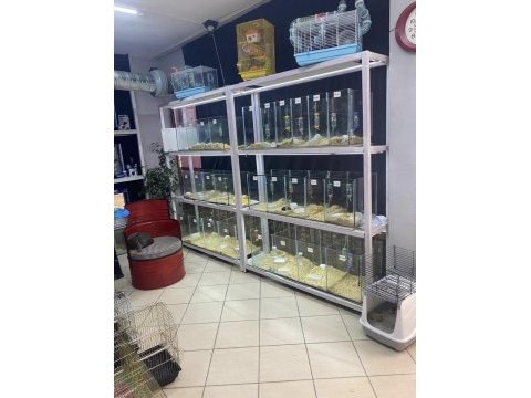 Sevimli hamster ve tüm aksesuarları adrese teslim