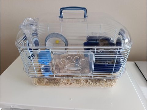 Gonzales hamster ile birlikte verilecek