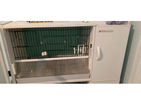 Pvc kafes ve malzemeler ile birlikte sultan papağanı