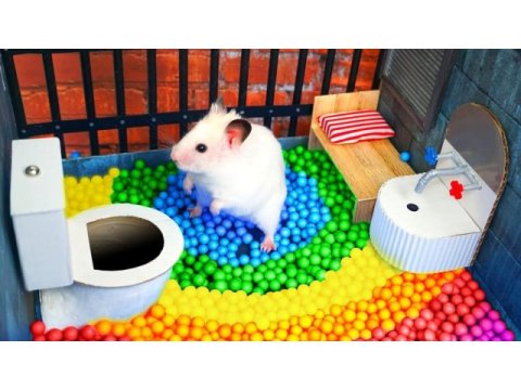 Hamster-gonzales her zaman bulunur