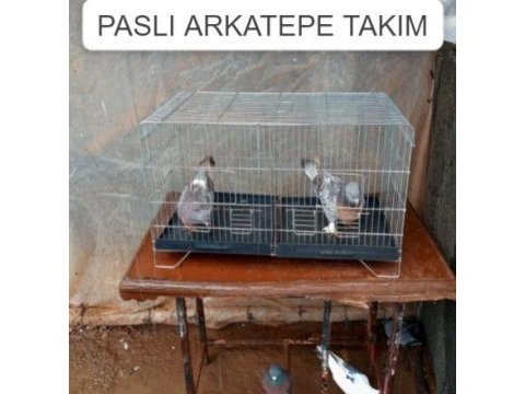 Paslı arkatepe takım