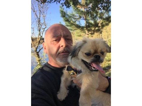 2 yaşında erkek köpeğime dişi eş arıyorum
