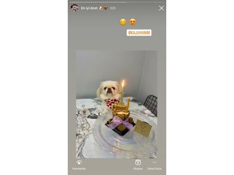 2 yaşında pekinez hamile
