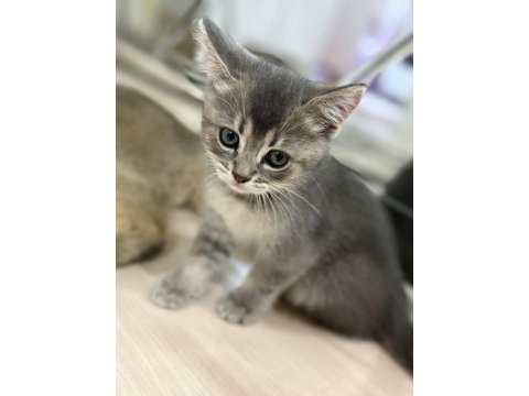 Bebeklerimizi sahiplendiriyoruz