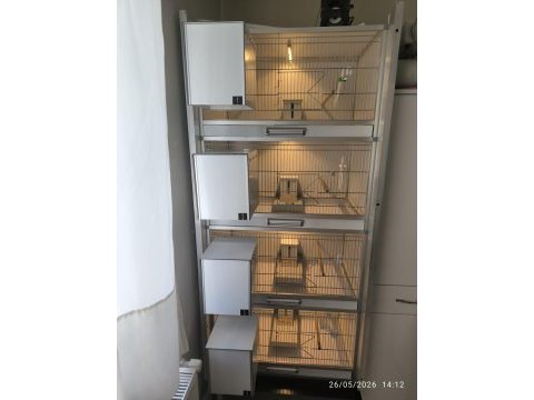 4 katlı kompozit box 80 lik kafes