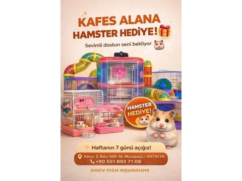 Kafes çeşitleri hamster yavru yetişkin