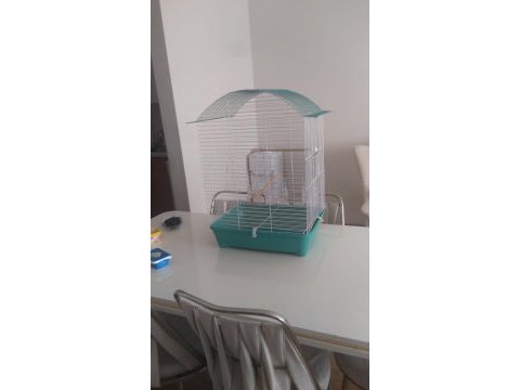 Çeşitli kafesler takas olur