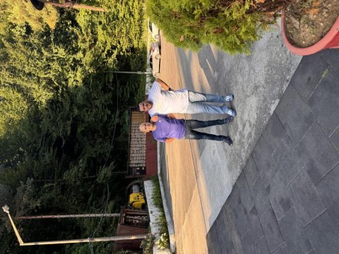 70 günlük siyam kedisi