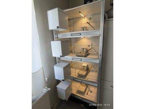 4 katlı kompozit box 80 lik kafes