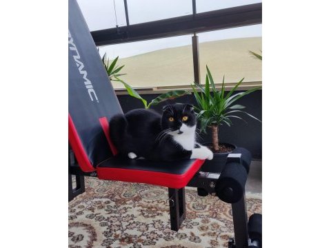 Kardeşler icin yuva ariyorum