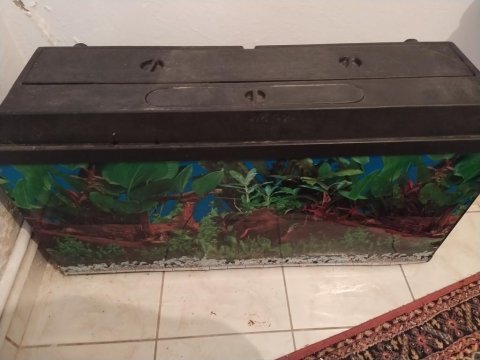 100*50*40 komple akvaryum ve ekipmanları