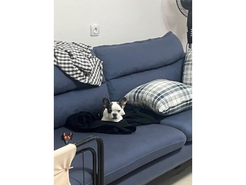 A kalite tüm malzemeleri ile verilecek harika bir fransız