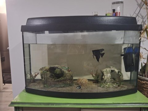 100 litre akvaryum