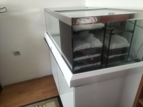 Satılık akvaryum