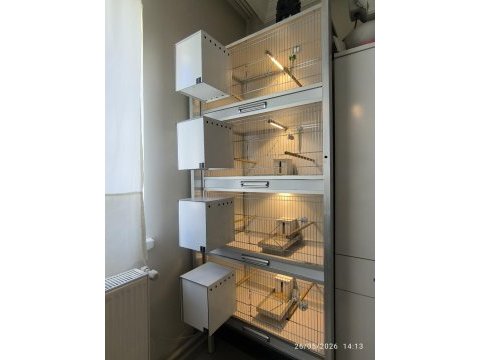 4 katlı kompozit box 80 lik kafes