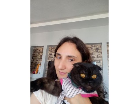 Kedim dumanı sahiplendirmek istiyorum çipi var