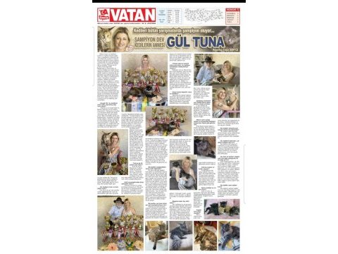 Türkiyenin ilk maine coon üreticisinden eşsiz devler