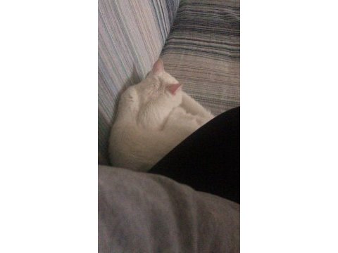 Pamuk için umut olmak istermisin