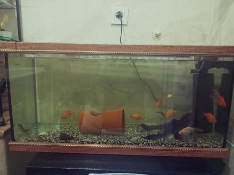 80*40*30 akvaryum set