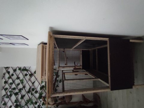 Çok güzel ve özel