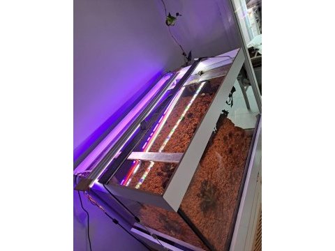 1 cm cam el yapımı demir profil mobilyalı akvaryum