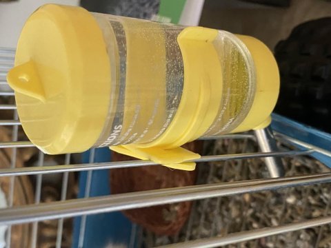 Acil guinea pig kafes yeşillik su kabı beraber