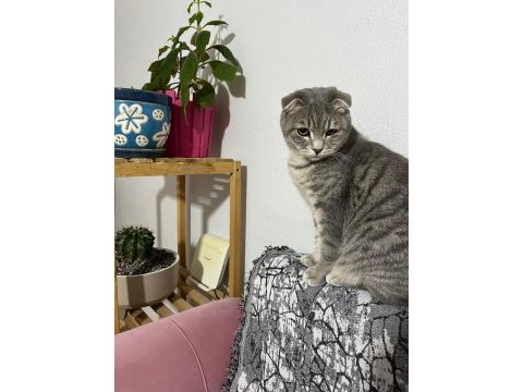Tatlı oğlumuza yuva arıyoruz
