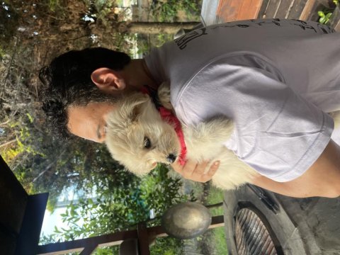 3 aylık köpeğimiz