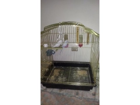 Muhabbet kuşu kafes