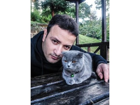 Erkek british kedimiz ücretsiz