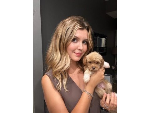 Küçük maltipoo kızım miniş