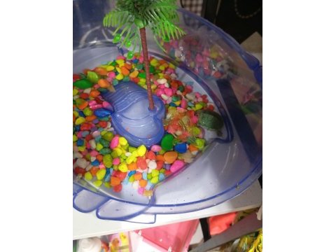 Minik kaplumbağa yavruları