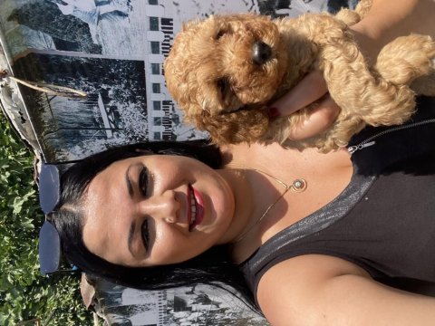 Toy poodle ve kore poodle yavrularım