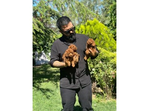 Ankaranın tek pet danışmanlığı
