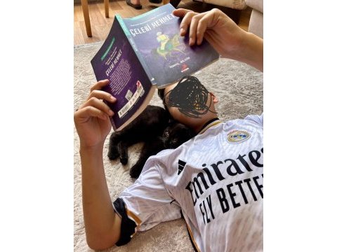 Çok cana yakın sevimli erkek british shorthair yavrular