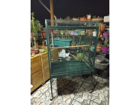 Macaw kakadu sultan papağanı kafes