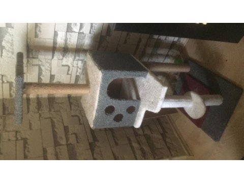 Coco himalayan 6 aylık yavru temiz bakımlı erkek