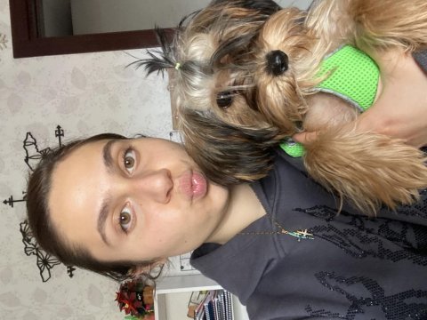 Yorkshire terrier milamız