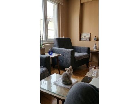 Bakmadan geçmeyin kedilerimize