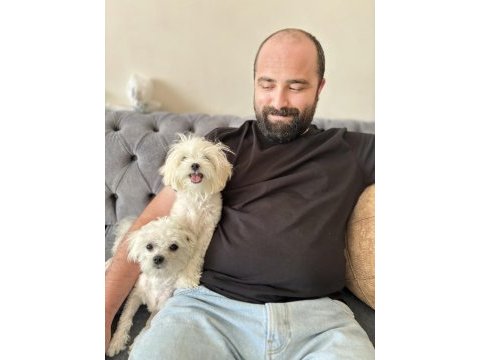 Dişi ve erkek maltese terrier kore kan 1 numara