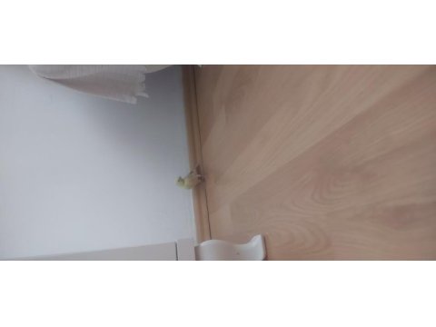 Sari opal sari agat 2025 kuşumuz