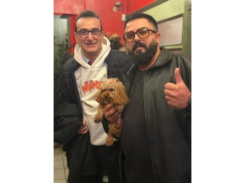 Teacup koyu renkli maltipo yavrularımız