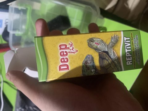 Yavru su kaplumbağası akvaryum vitamin