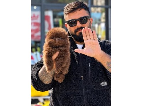 Ankaranın tek pet danışmanlığı 