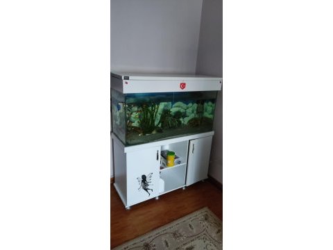 Hobiyi bırakıyoruz kople verilecek motor falan akvaryum
