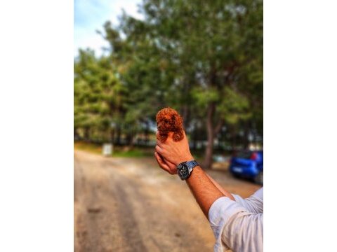Bir şey yazmaya gerek yok sanırım poodle