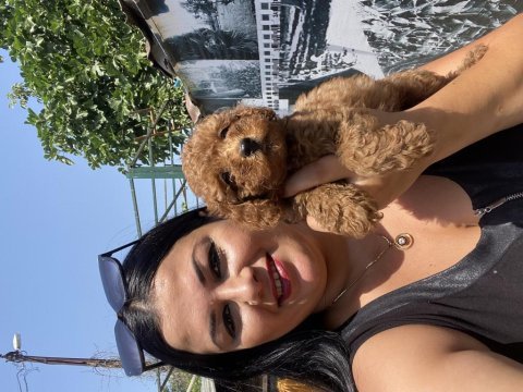 Ufacık sağlık ve ırk garantili toy poodle yavrularım