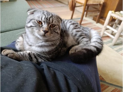 Çok mu çok sevimli