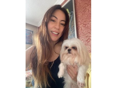 2 yaş orijinal 1 numara maltese