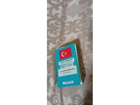 Cane corso köpeğimiz ile ilgilenenler ulaşabilir
